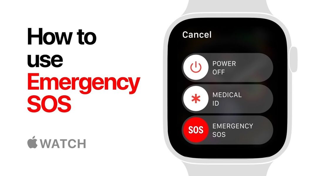 apple watch series 4 workout