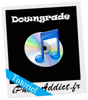 Tuto Donwngrade iTunes