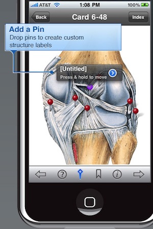 clemente_s_anatomy_flash_cards