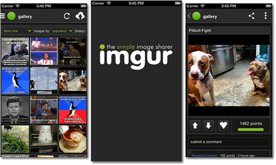 Imgur Application iOS