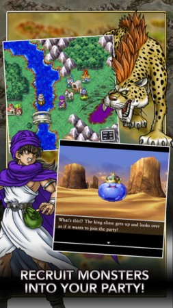 DQ 5