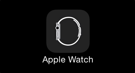 Apple Watch Application iPhone Icone