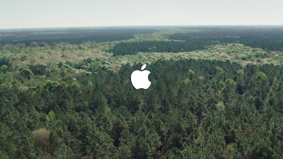 Apple Foret Environnement