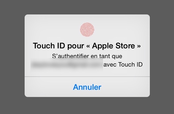 Apple Store Application Touch ID