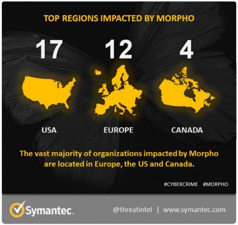 morpho-infographic