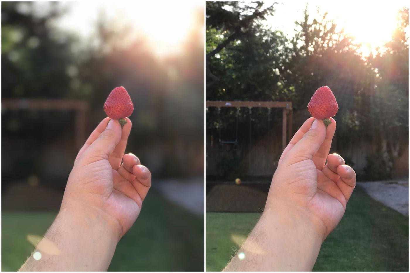 iOS 10.1 bêta 1 active le fond flou sur les photos prises avec l'iPhone