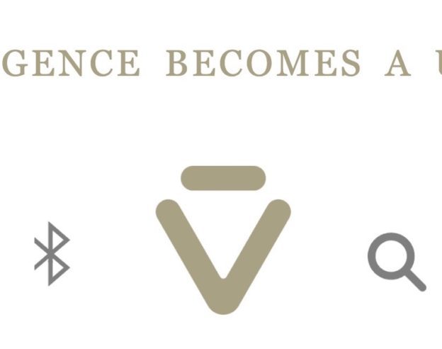 viv-labs-logo