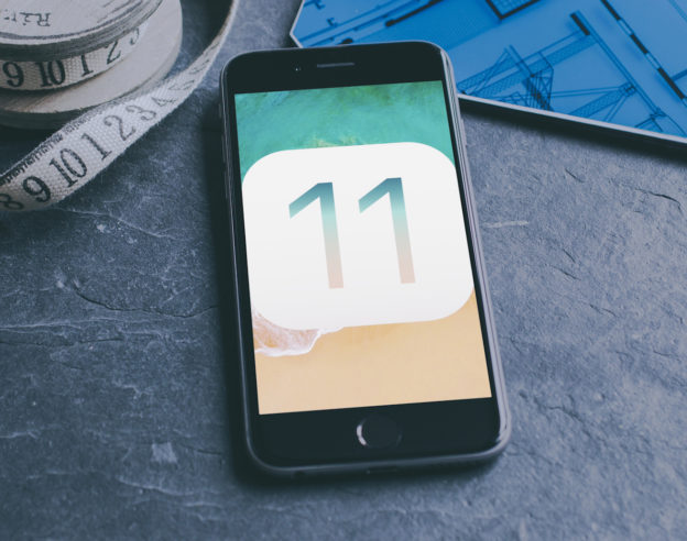 iOS 11 Logo iPhone 6