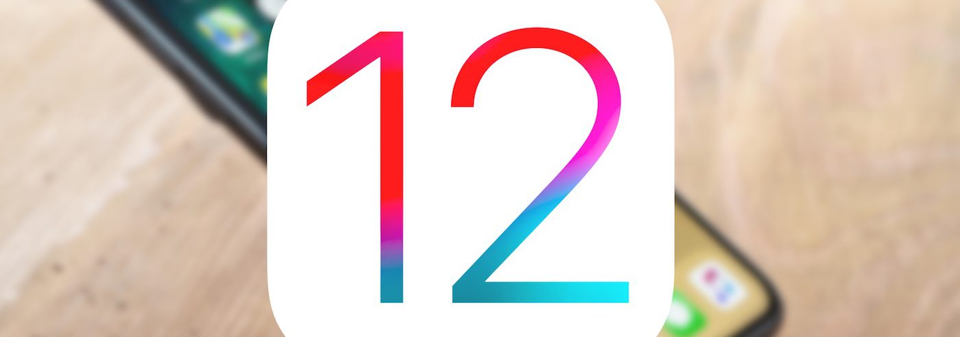 iOS 12 Logo iPhone X