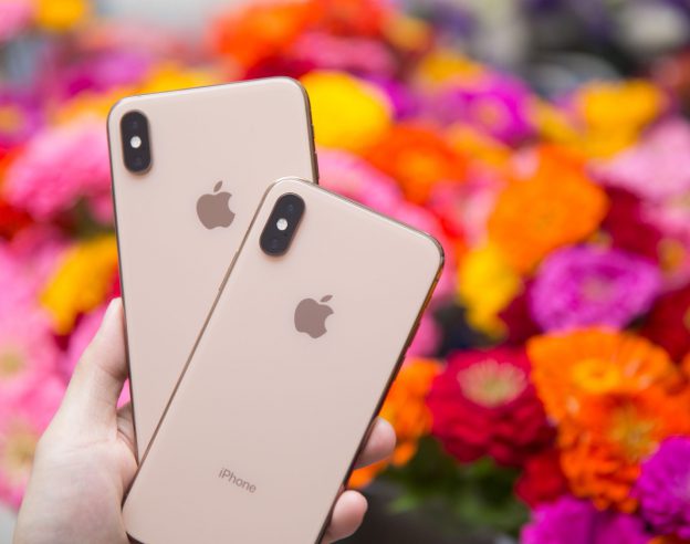 iPhone XS vs iPhone XS Max Or Arriere Fleurs