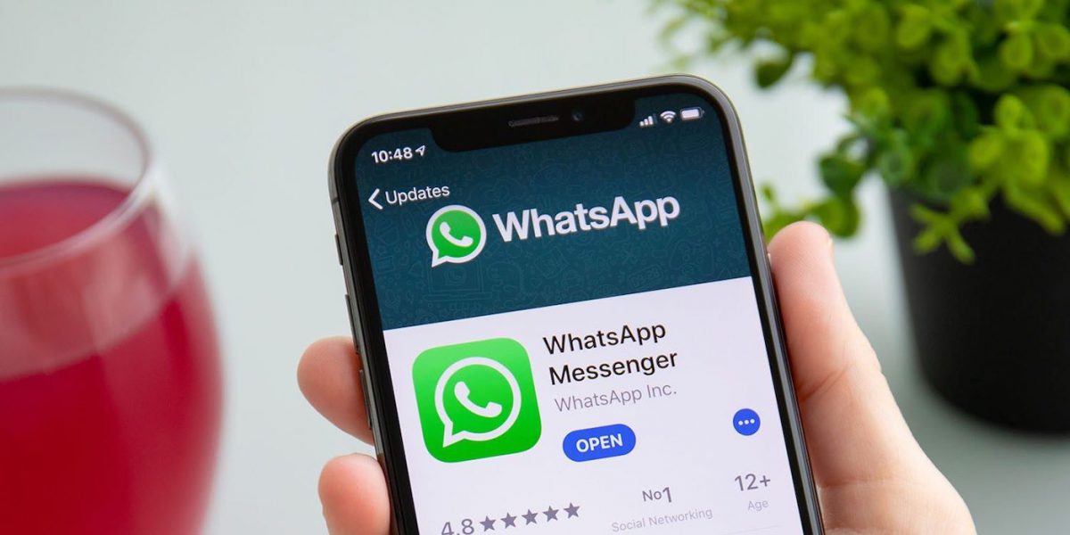 WhatsApp tease son app iPad et un compte sur plusieurs appareils