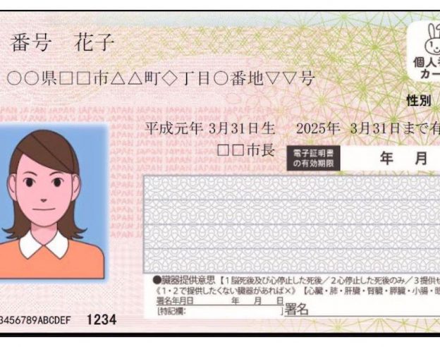 Carte Identite Puce NFC Japon
