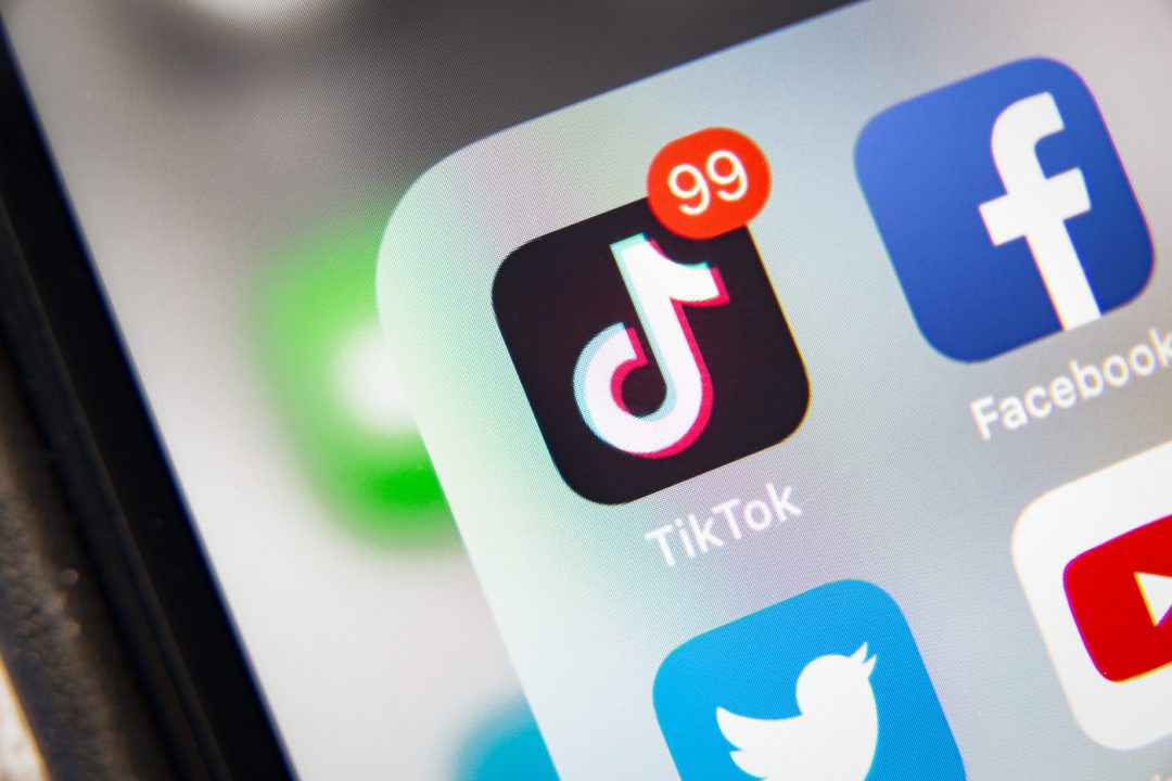 TikTok Logo Icone