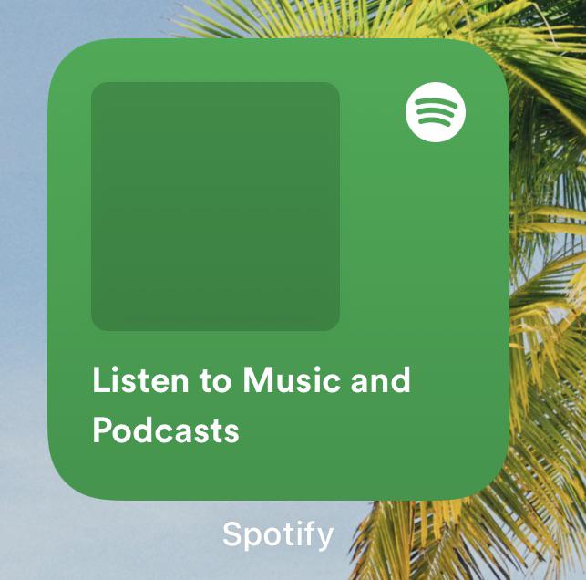 Bêta de Spotify avec les widgets pour iOS 14 2