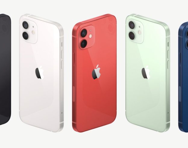 iPhone 12 Arrière Coloris Officiel