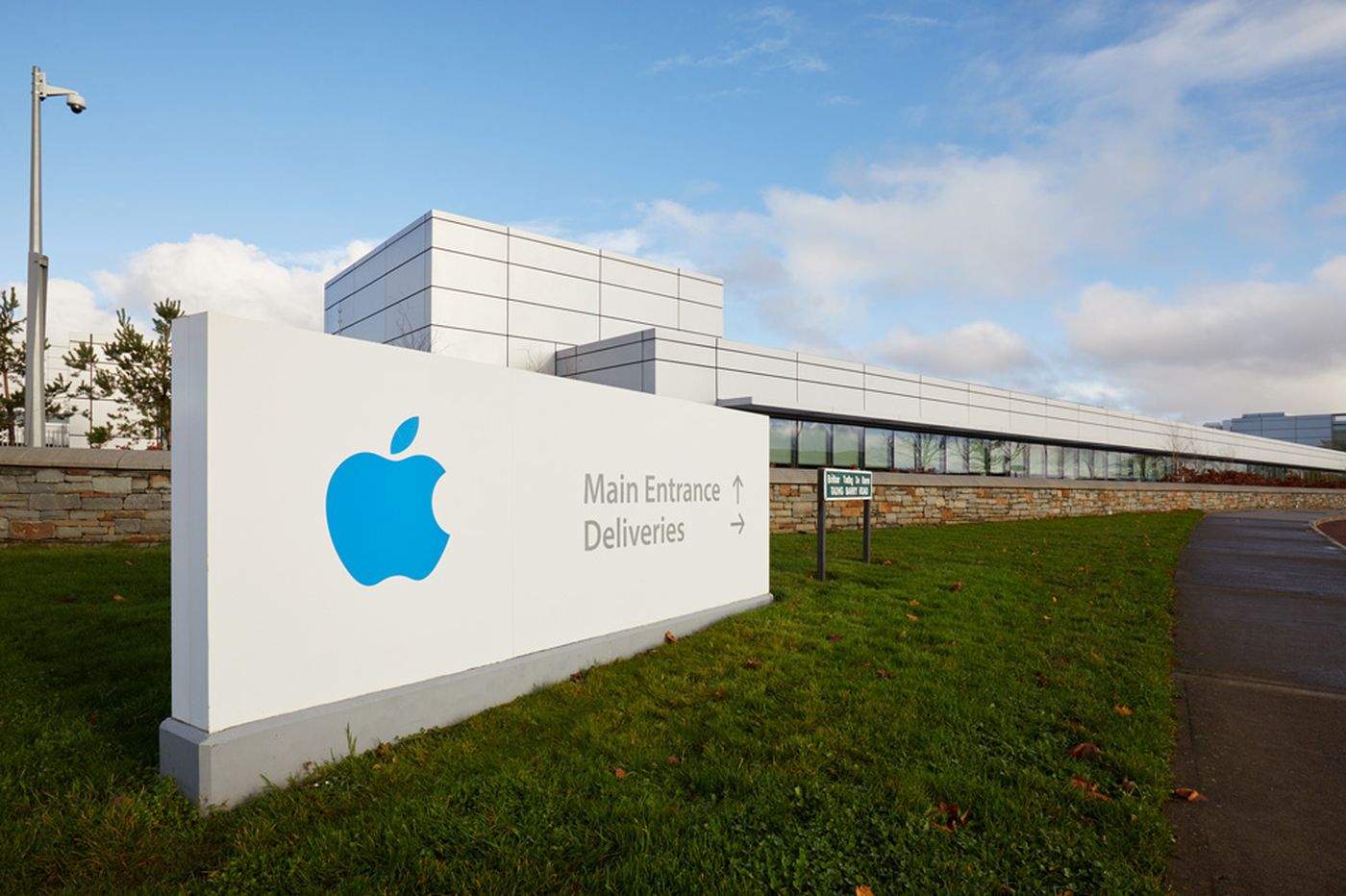 Cork Apple Photo 1