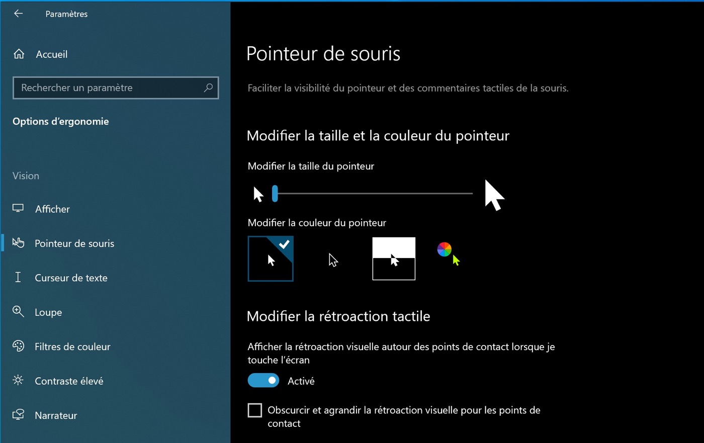 Pointeur Souris Windows 10