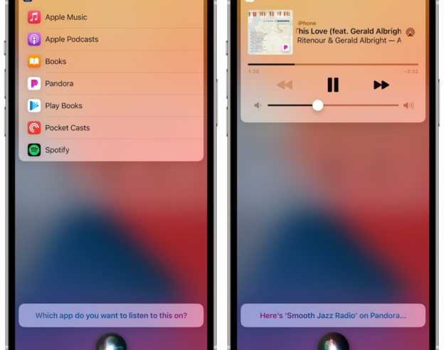 iOS 14.5 Siri Application Musique