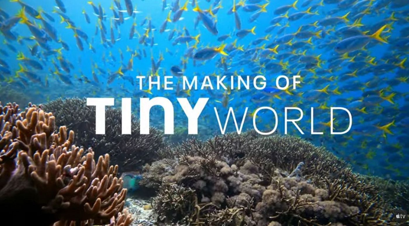 Tiny World Filming Inside the Reef