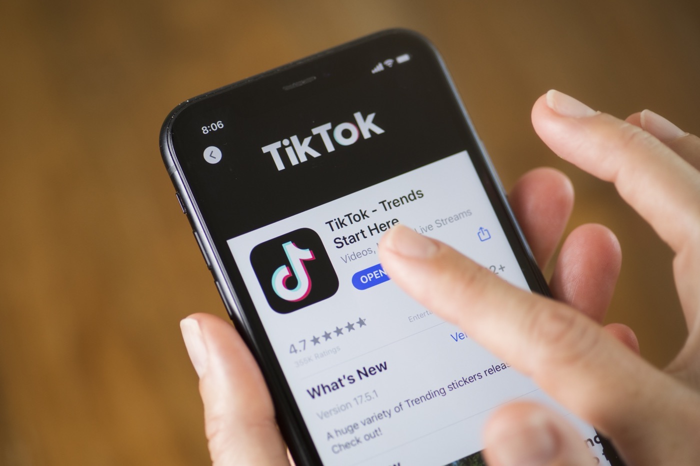 TikTok Logo Icone