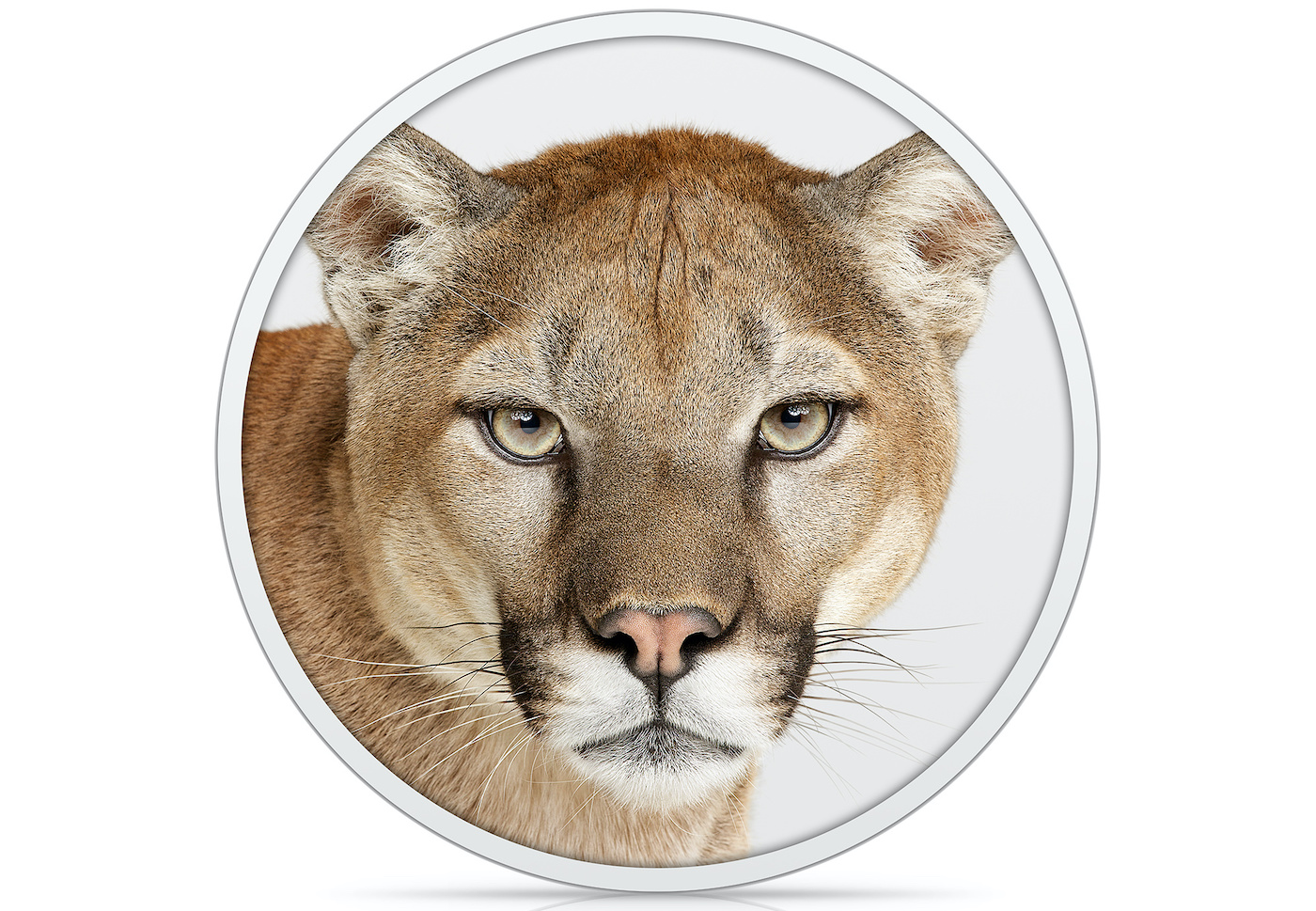 OS X Mountain Lion