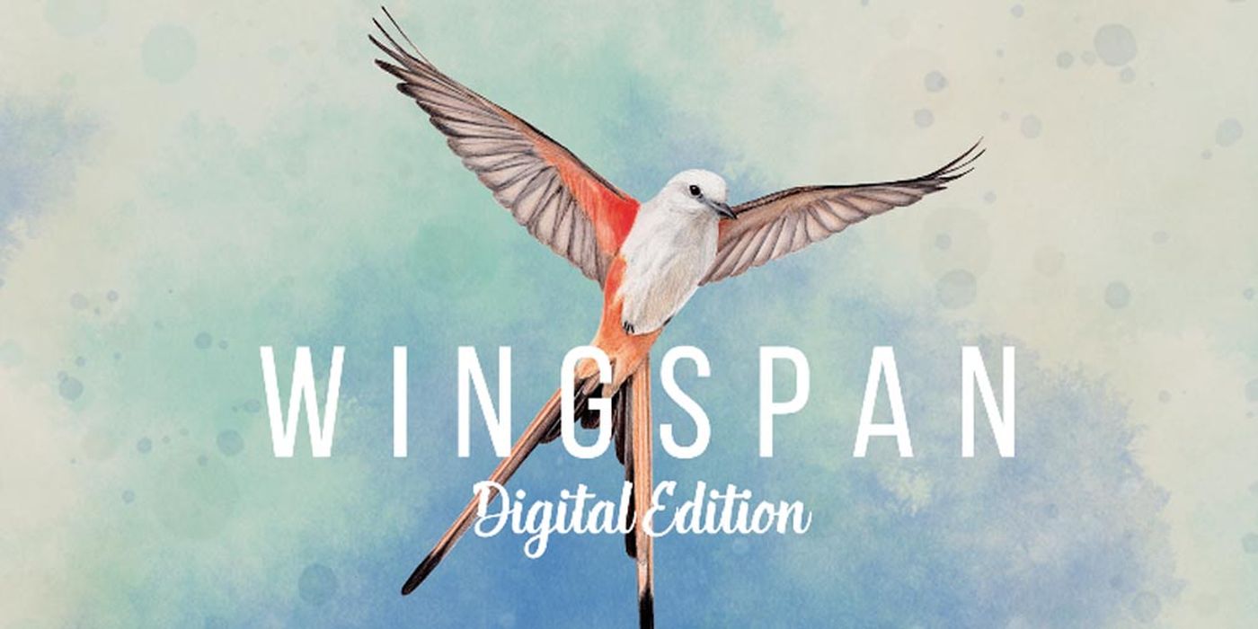 Wingspan