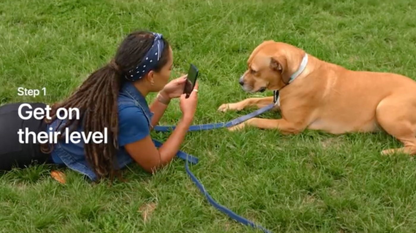 Today at Apple Pets