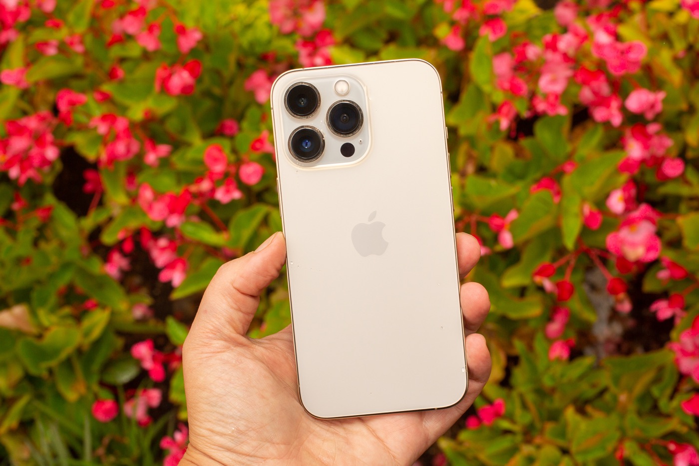 iPhone 13 Pro Arriere Prise en Main 1