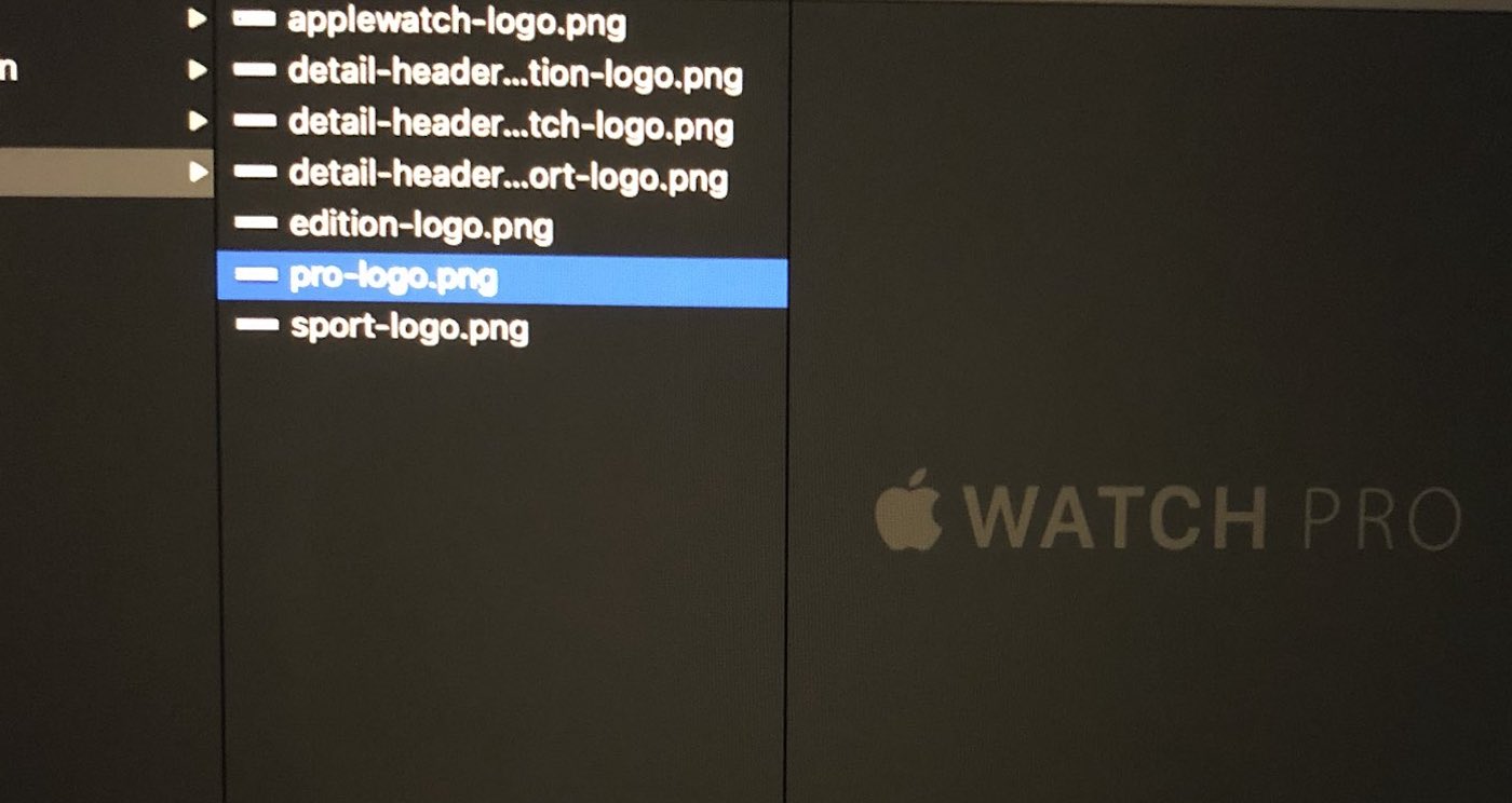 Apple Watch Pro