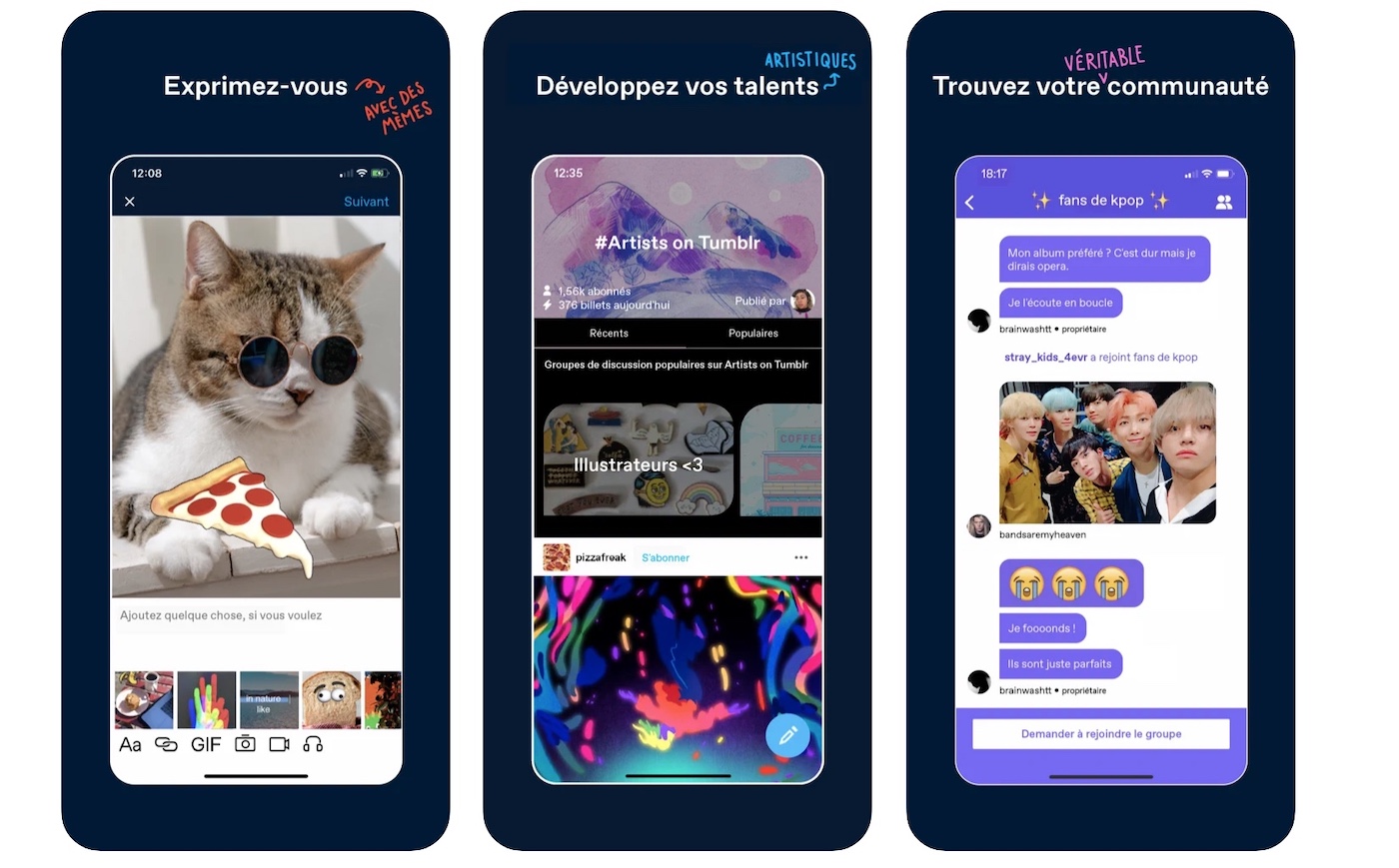 Tumblr Application iPhone