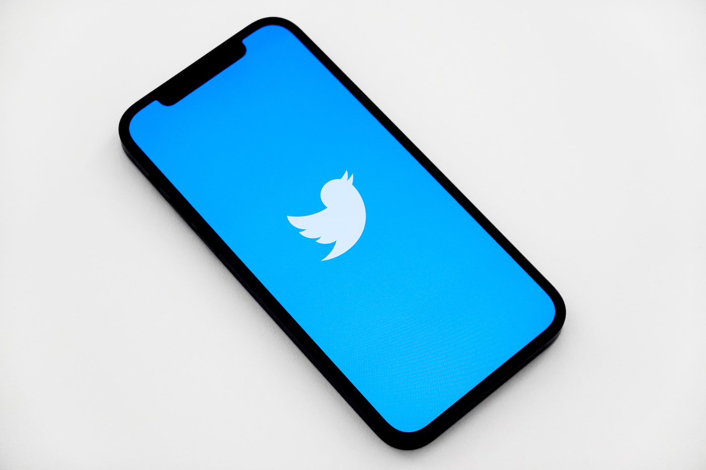 Twitter Logo