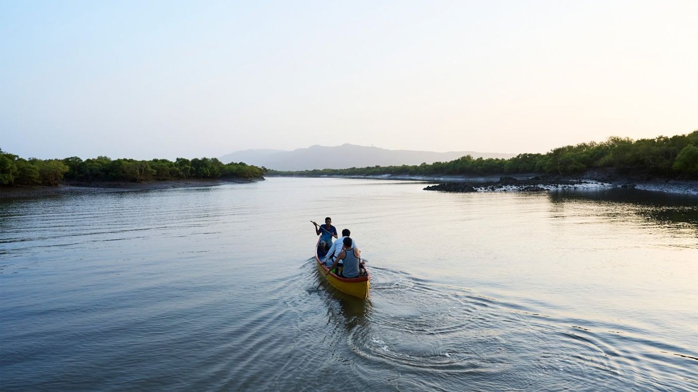 Journee de la Terre Mangrove Inde