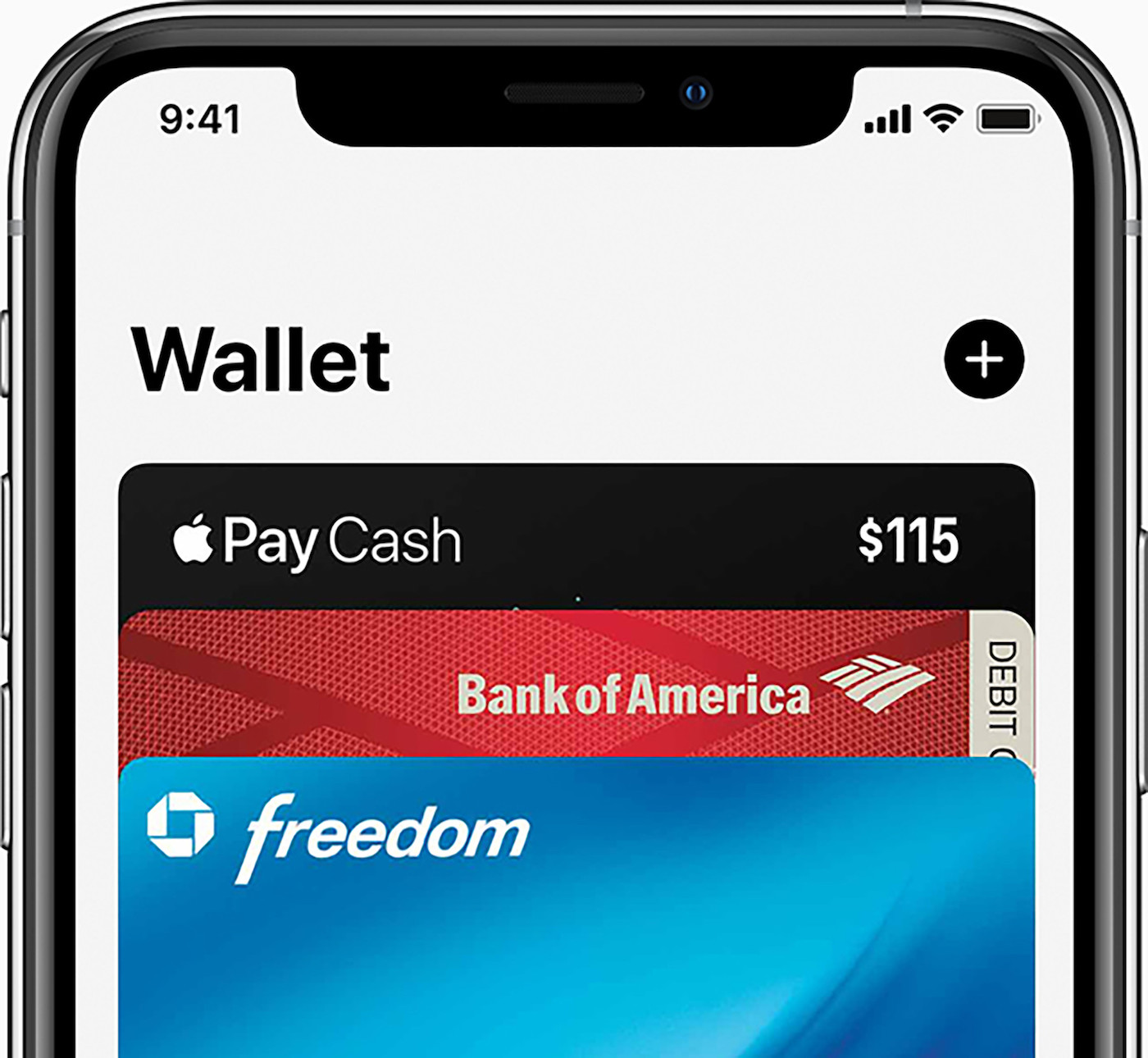 Apple Cartes Wallet Application