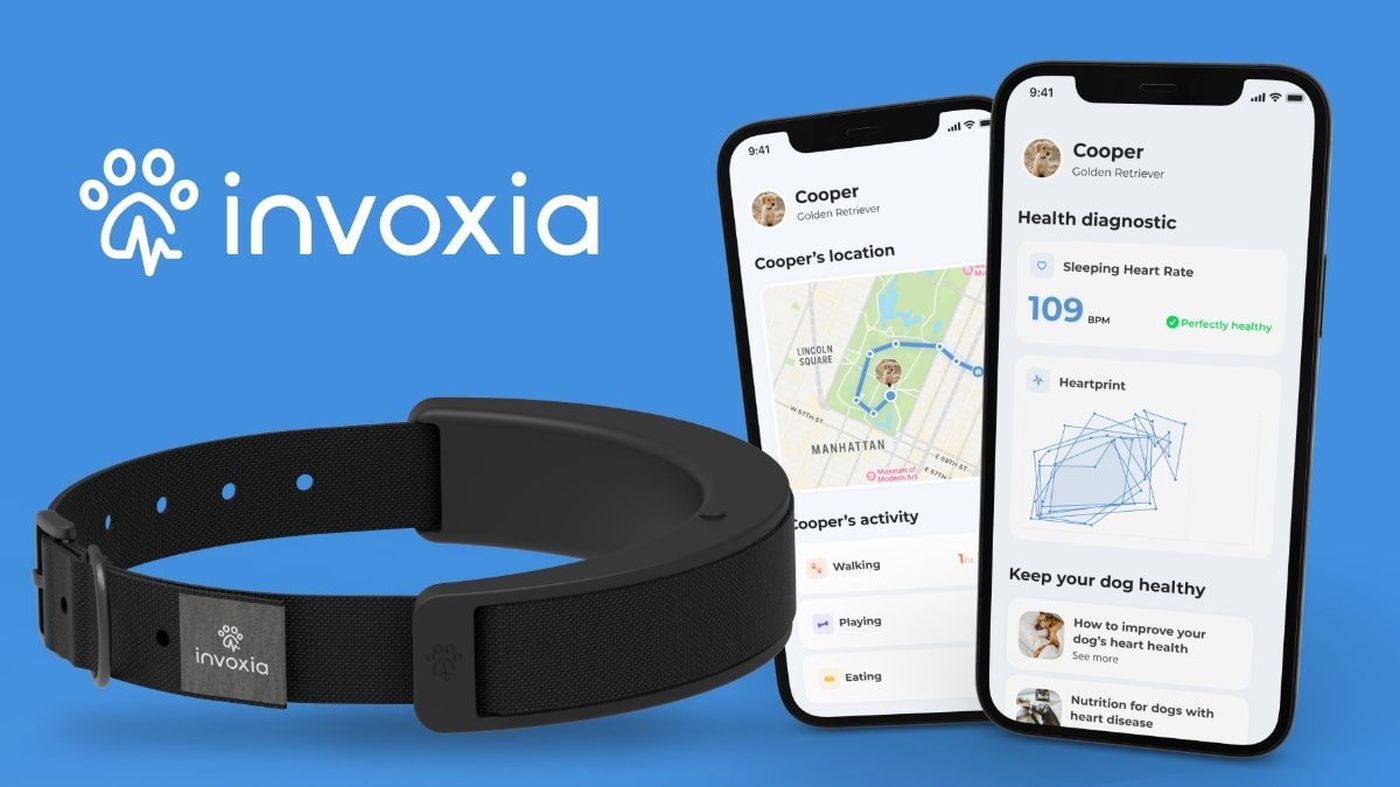 CES 2023: Invoxia unveils a smart collar for dogs compatible with iOS