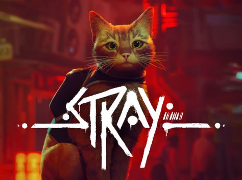 Image article Stray, le jeu avec les chats, va ronronner sur Mac