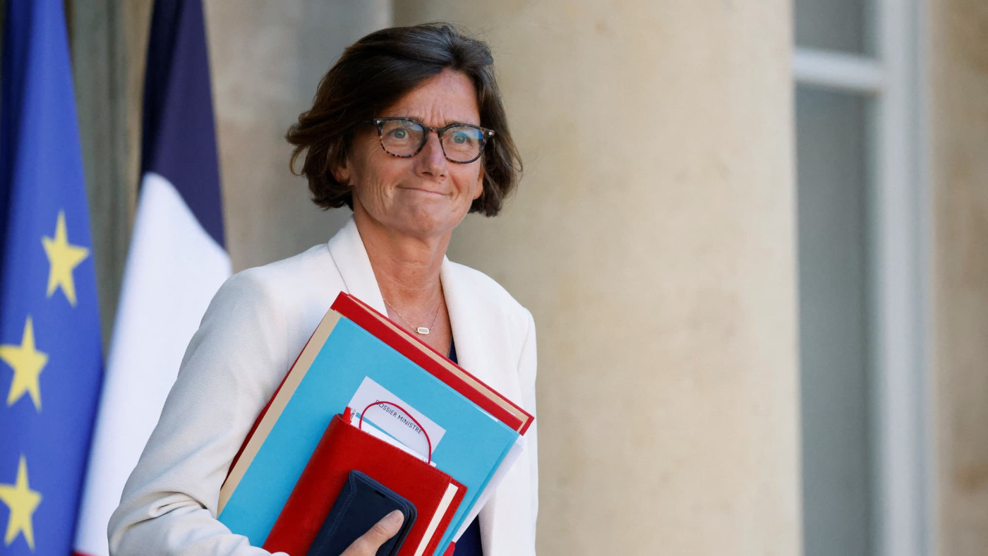 Agnès Firmin-Le Bodo