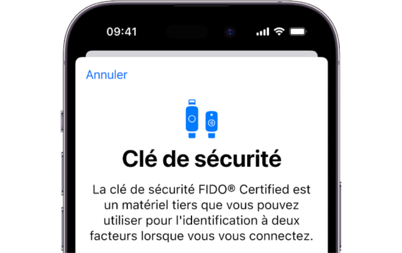 Cle de Securite iPhone