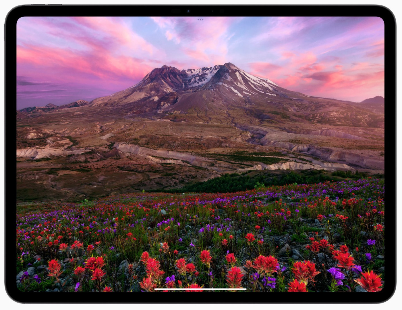 iPad Pro M4 2024 Ecran