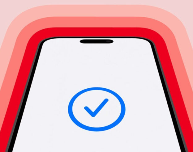 Apple Pay Logo Valide RED