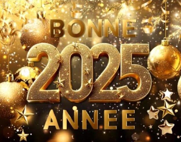 Image Bonne année 2025 !!!