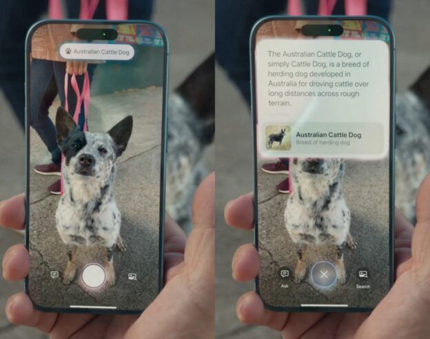 Intelligence Visuelle iPhone 16 Informations Animaux