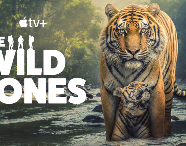 Image The Wild Ones : Apple TV+ dévoile la bande-annonce de sa série documentaire d’aventure