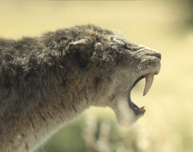 Image Planète Préhistorique: ère glaciaire : Apple TV+ annonce le troisième volet de son faux documentaire animalier