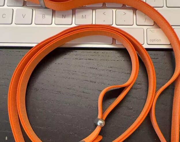 Image La nouvelle sangle crossbody « fuite » à quelques heures de la keynote