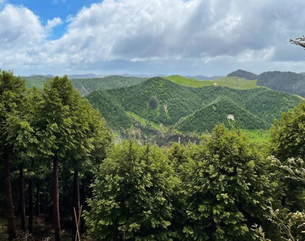 Image Apple renforce son engagement écologique en Nouvelle-Zélande