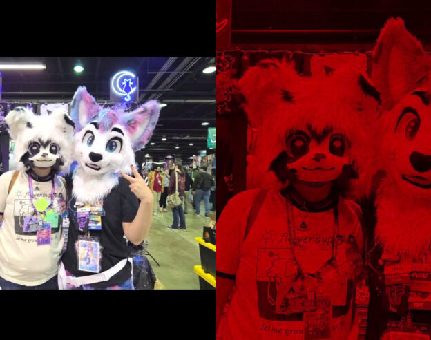 image de l'article Un bug d’iOS 26 affiche des photos rouges sur iPhone en lien avec… Android